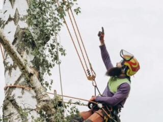 СПИЛ ДЕРЕВЬЕВ ЛЮБОЙ СЛОЖНОСТИ В Приднестровье • Недорого