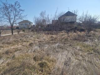 В продаже участок правильной формы. На участок заведена вода, газ и ..