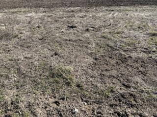 В продаже участок в Александровке. Участок общей площадью 7 соток. ...