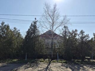 Продам дом в курортном селе Кордон