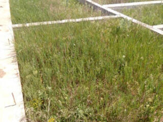 Продам шикарный  участок 10 соток в с. Нерубайское  с  очень хорошим .