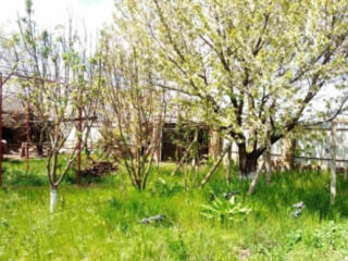 Продам участок 10 соток в с.Александровка (5 км от Одессы)