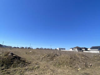 Продажа Земля под жилое строительство 168 соток Червоный хутор, Одесса