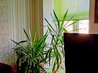 Продажа 1 комнатной квартиры с ремонтом в центре