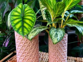 Изготовление КАШПО по индивидуальным размерам