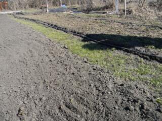 Консультации. Посев восстановление аэрация автополив