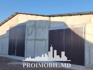 Spre vânzare depozit, a mplasat în Ialoveni, str. Chilia. Suprafața ..