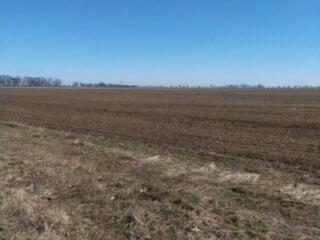 Продам земельный участок 10 соток. Участок рассположен между ...