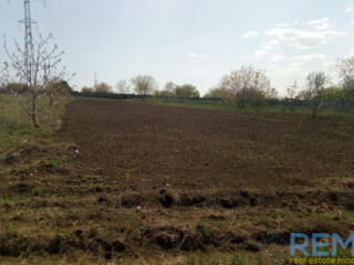 Усатово-1, 16,5 соток