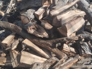 Дрова ореха, недорого