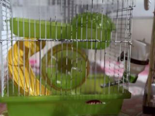 Клетка для хомяка