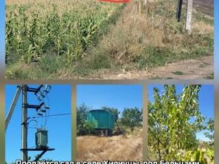 Продам плодоносящий сад 4 Га