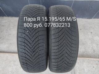 Пара R 15.195/65M/S
