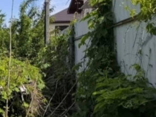 В продаже участок правильной формы с заездом для авто. На участке ...