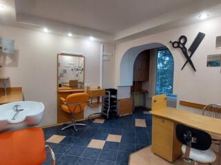 Салон красоты с фасадным входом, ул. Ильфа и Петрова / Левитана