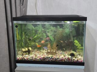 Продам недорого аквариум