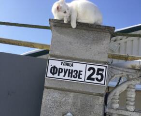 СОБСТВЕННИК. Продаю дом с. Карагаш.