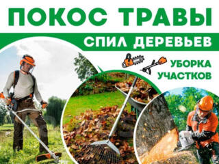 Предоставляю услуги: покос травы любой сложности, распил деревьев