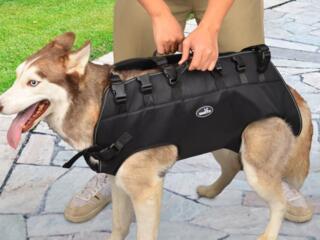 Новая шлейка, Переноска.