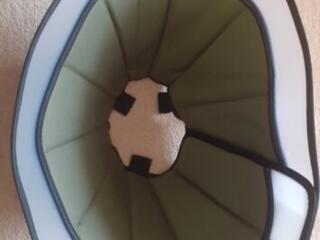 Защитный воротник для собак.