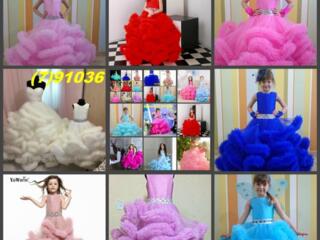 Прокат огромный выбор