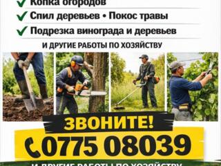 Все виды работ по хозяйству!