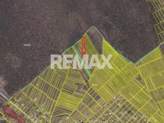 Teren de vânzare – 35 ari, lângă Codrii Moldovei, satul Malcoci