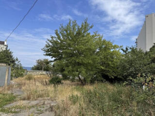 Продам два смежных участка общей площадью 13 соток в Аркадии. 5 минут 