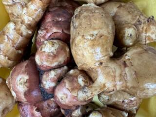 Топинамбур или бульба (домашняя)