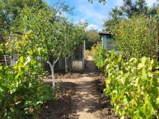 Продаётся дача на полигоне