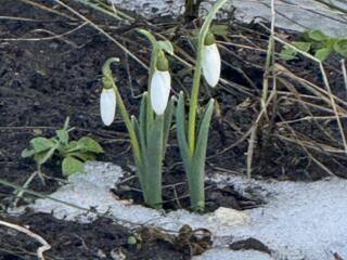 Продается участок в Тирасполе