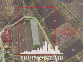 S pre vânzare se oferă teren cu destinație agricolă, situat la prima .