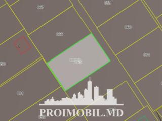 Spre vînzare se oferă teren pentruconstrucțiesituat în Trușeni, str. .