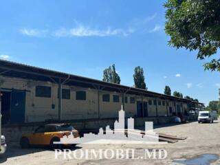 Se oferă spre chirie depozit industrial,amplasatîn Vatra, str. ...