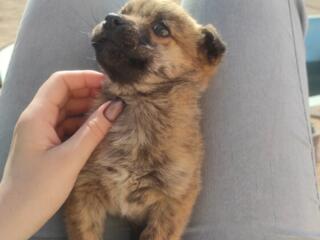 Мальчик 2,5 месяца