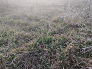 В продаже земельный участок для ведения садоводства, расположенный в .