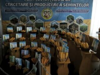 Рыбница! Удобрения, семена! Фабрика нетканых материалов!