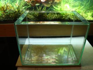 Продам готовые аквариумы. 130л, 65л.