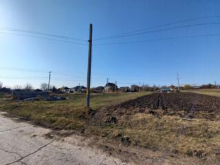 Vind cota de teren, în Ocnița