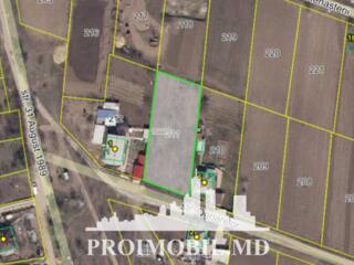 Spre vânzare se oferă teren pentru construcții, situat în Anenii Noi, 