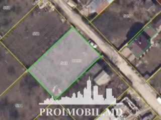 Spre vânzare se oferă teren pomicol, situat în or. Ialoveni. ...