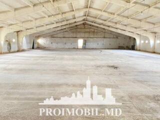 Vă propunem spre vânzare această construcție agricolă în r. Criuleni, 