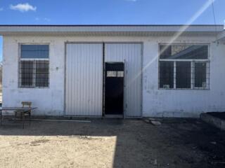 Сдаётся помещение