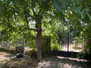 Продам участок возле моря в Киевском районе