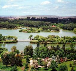 Vanzare Urgenta de la proprietar. Colaborez cu agentii