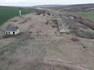 Se oferă spre vânzare fermă pentru animale în raionul Anenii Noi. – ..