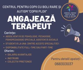 Terapeut comportamental - Pedagog special