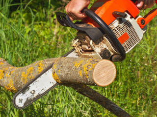 Ищу подработку участки огороды.