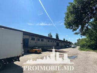 Se oferă spre chirie depozit amplasat în Vatra, str. ...