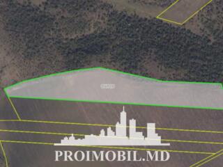 S pre vânzare se oferă teren agricol, situat în Colonița. Suprafața ..